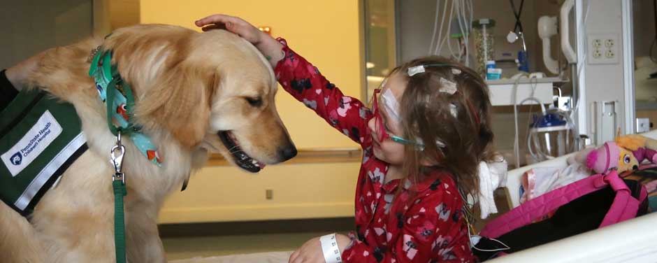 Four Diamonds' funding supports Child Life Facility Dogs, like Becky, at Penn State Children's Hospital